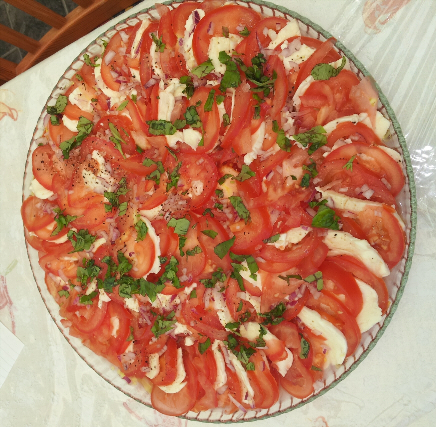 tomat mozzarella sallad